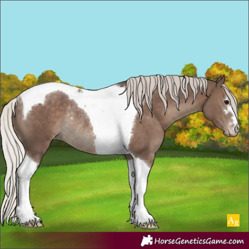 Horse Color:Silver Black Tobiano Varnish Rabicano 