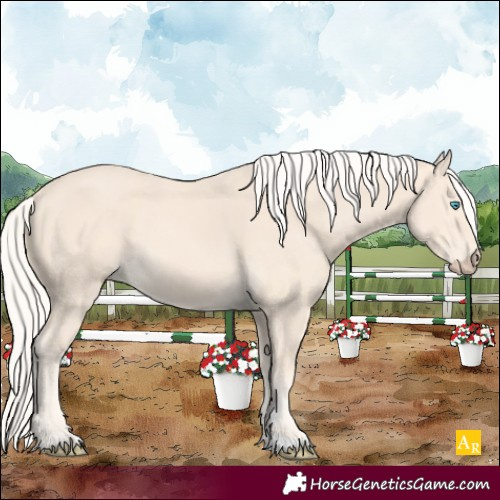 Horse Color:Cremello 