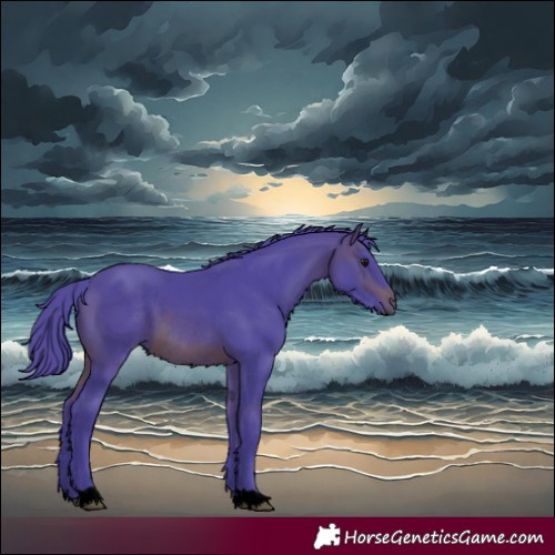 Horse Color:Void Watercolor Brown Rabicano 