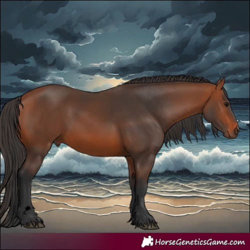 Horse Color:Void Bay