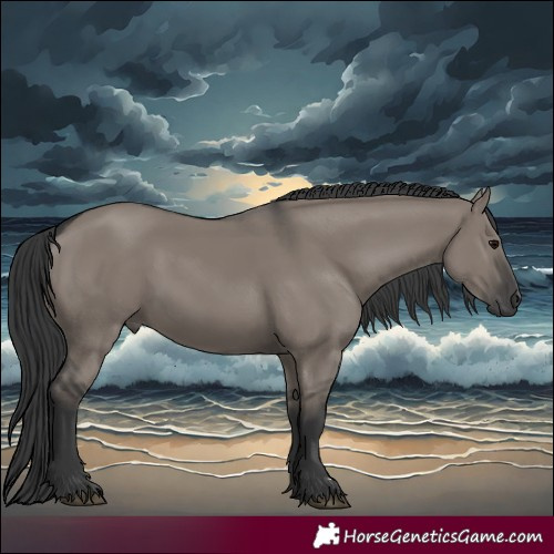 Horse Color:Grullo