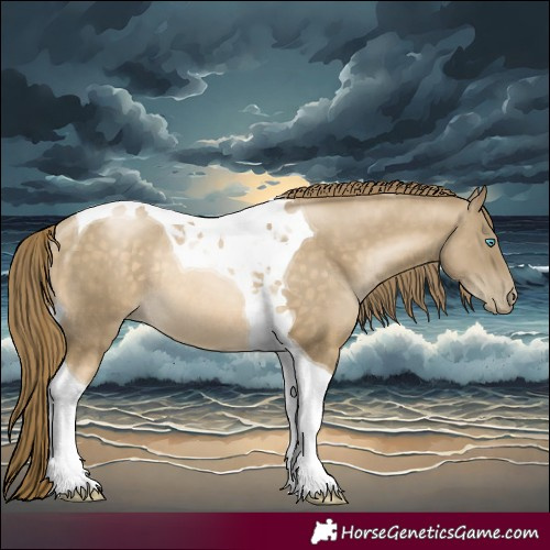 Horse Color:Buckskin Pearl Tobiano Rabicano 