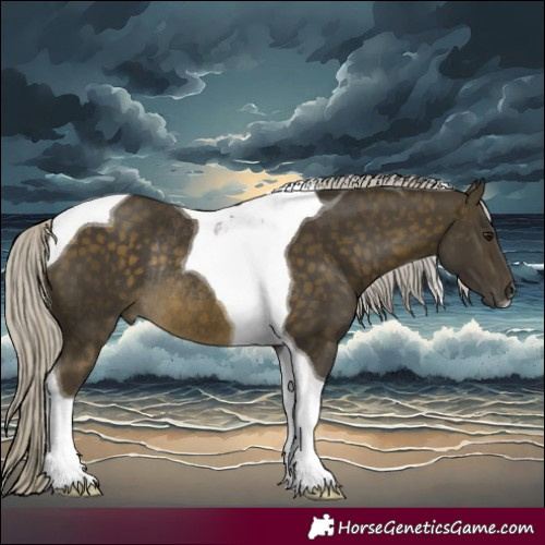 Horse Color:Silver Buckskin Tobiano Rabicano