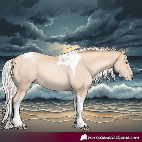 Horse Color:Silver Buckskin Pearl Tobiano 