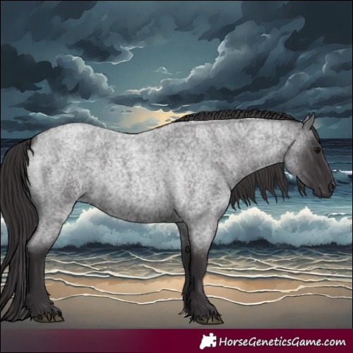 Horse Color:Smoky Blue Roan 