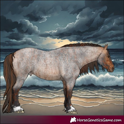 Horse Color:Red Roan and Buckskin Roan