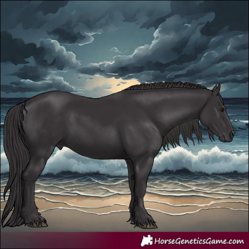 Horse Color:Smoky Black