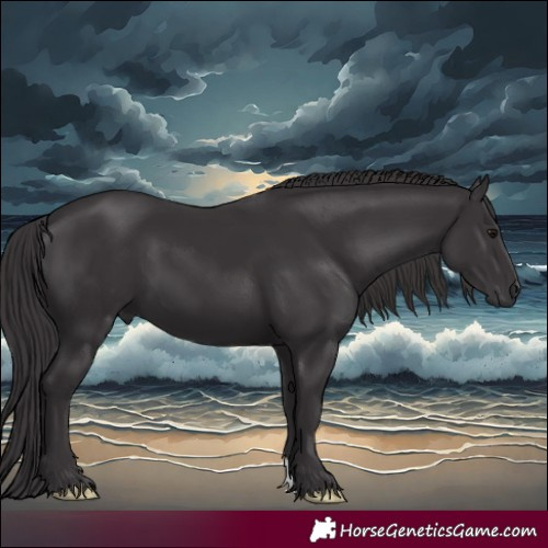 Horse Color:Smoky Black