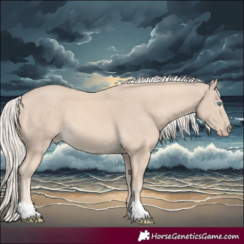 Horse Color:Cremello