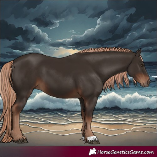 Horse Color:Liver Chestnut 