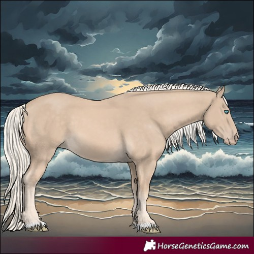 Horse Color:Cremello