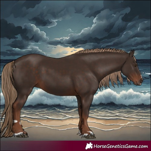 Horse Color:Liver Chestnut 