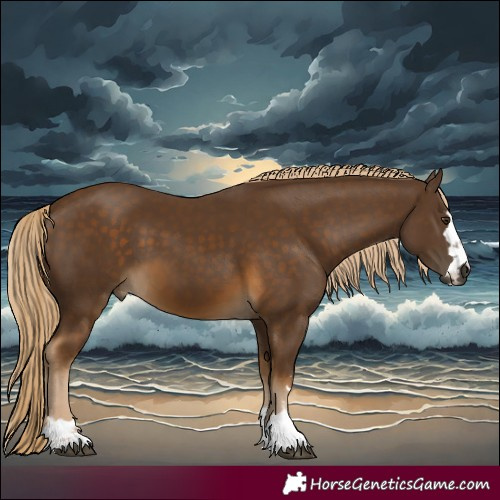 Horse Color:Chocolate Palomino
