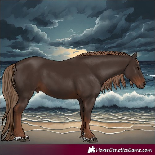Horse Color:Liver Chestnut 