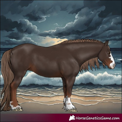 Horse Color:Liver Chestnut