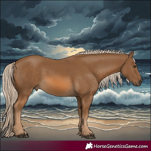 Horse Color:Chocolate Palomino 