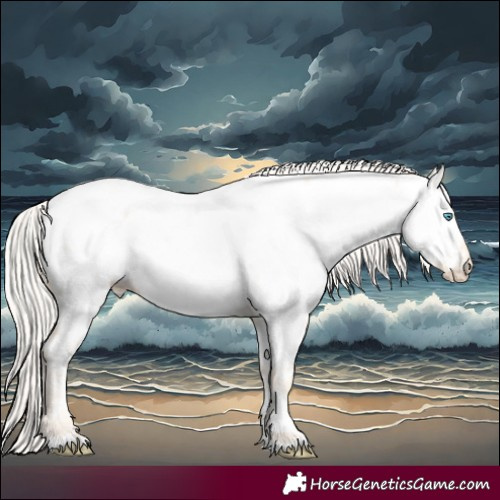 Horse Color:Cremello Dun Appaloosa 