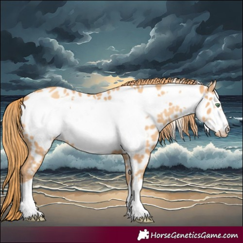 Horse Color:Gold Champagne Frame Near Leopard