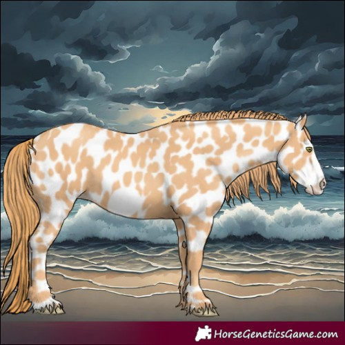 Horse Color:Gold Champagne Frame Near Leopard