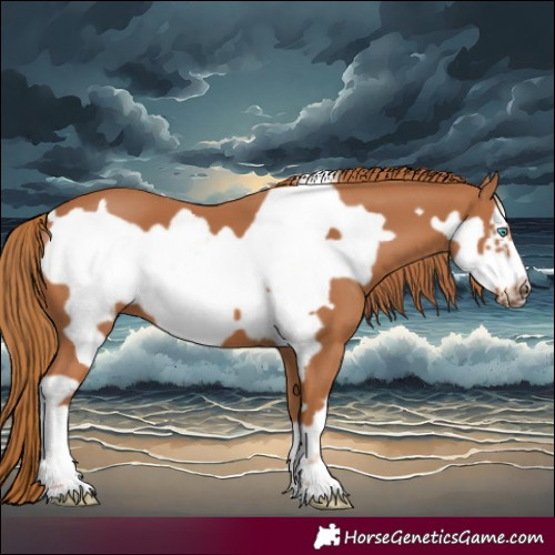 Horse Color:Chestnut Frame