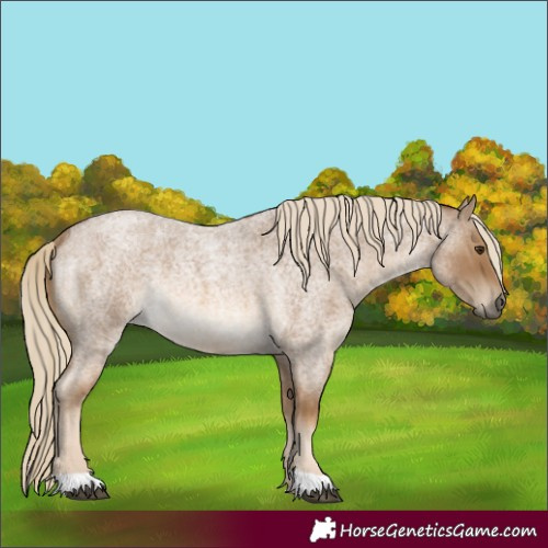 Horse Color:Chocolate Palomino Roan Rabicano 