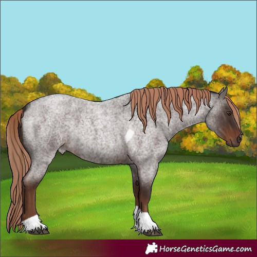 Horse Color:Liver Red Roan Tobiano Rabicano 