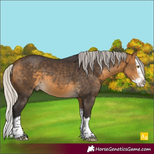 Horse Color:Silver Buckskin Splash 