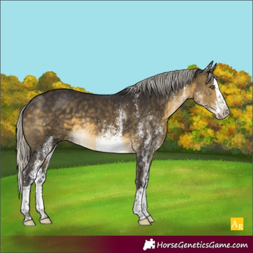 Horse Color:White Spotted Silver Buckskin Splash 