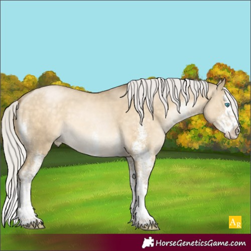 Horse Color:White Spotted Silver Buckskin Pearl Dun Splash