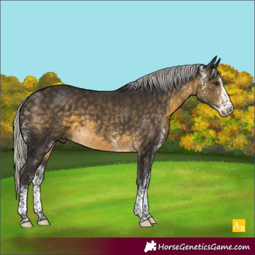 Horse Color:White Spotted Silver Buckskin