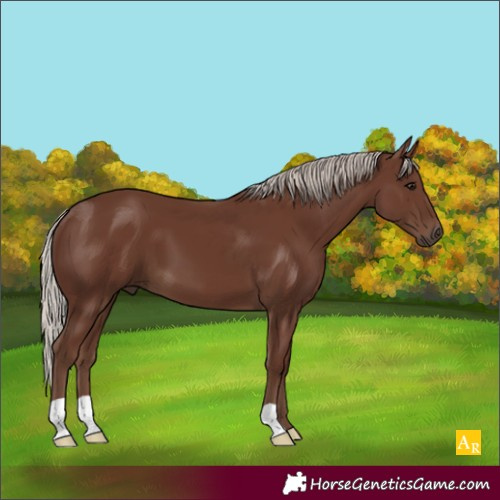 Horse Color:Silver Black