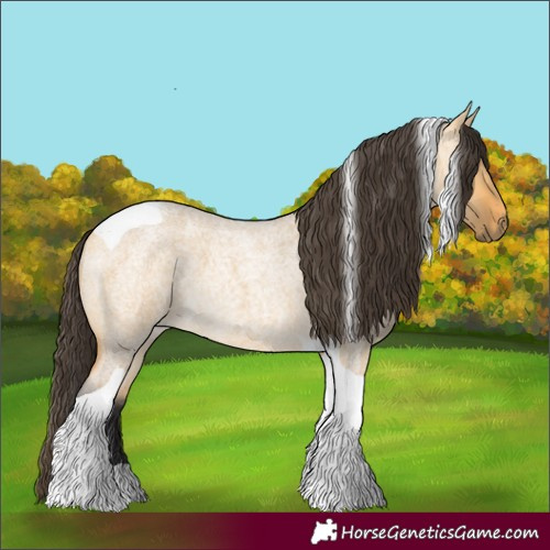 Horse Color:Buckskin Roan Dun Tobiano 