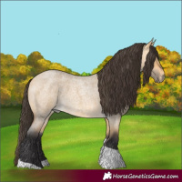 Horse Color:Buckskin Roan Dun Tobiano 