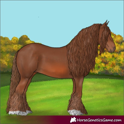 Horse Color:Chestnut 