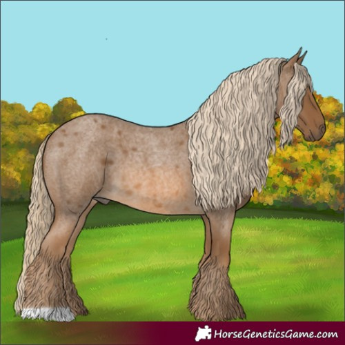 Horse Color:Chocolate Palomino Roan