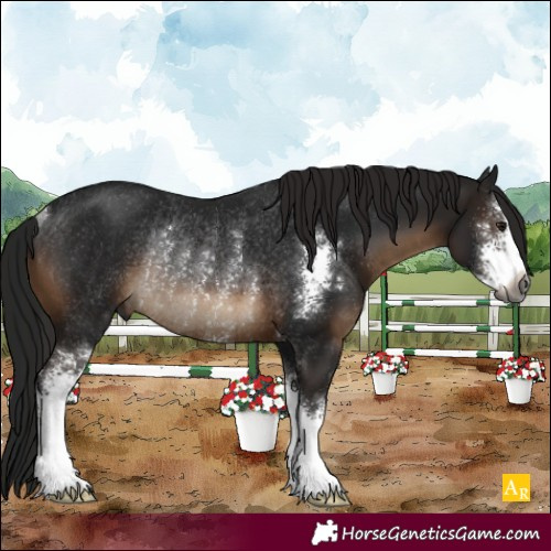 Horse Color:Gray Brown Sabino Rabicano