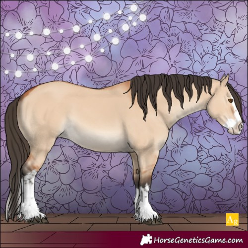 Horse Color:White Spotted Bay Dun Splash 