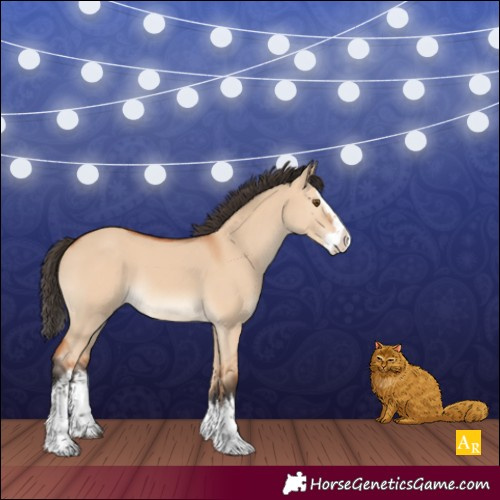 Horse Color:White Spotted Bay Dun Splash