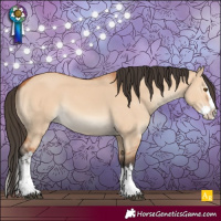 Horse Color:White Spotted Bay Dun Splash 