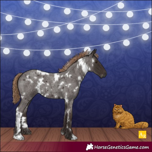 Horse Color:White Spotted Liver Red Roan 