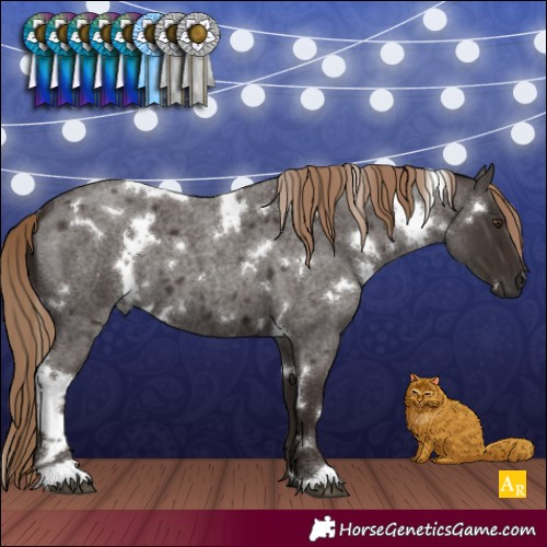 Horse Color:White Spotted Liver Red Roan