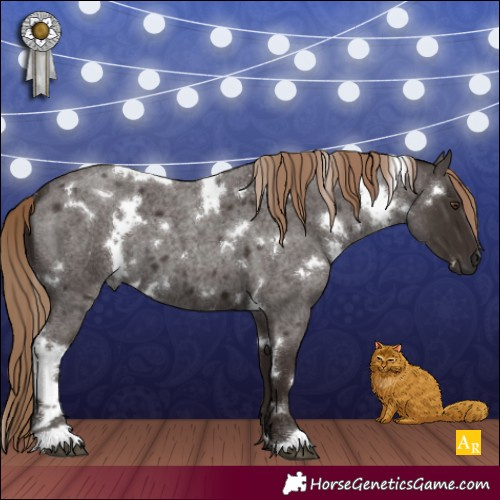 Horse Color:White Spotted Liver Red Roan 