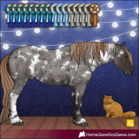 Horse Color:White Spotted Liver Red Roan