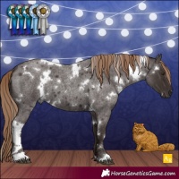 Horse Color:White Spotted Liver Red Roan 