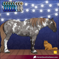 Horse Color:White Spotted Liver Red Roan