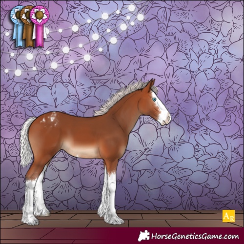 Horse Color:Silver Bay Splash Appaloosa 