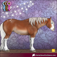 Horse Color:Silver Bay Splash Appaloosa 