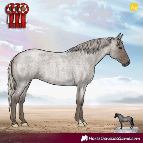 Horse Color:Silver Smoky Blue Roan Rabicano 