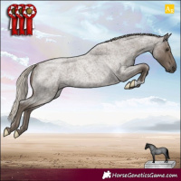 Horse Color:Silver Smoky Blue Roan Rabicano