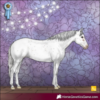 Horse Color:Silver Brown Sabino Frame Varnish Rabicano
